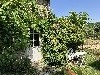 huisjetekoop Frankrijk Bourgogne Clomot